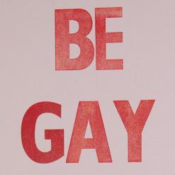 BE GAY DO CRIME
